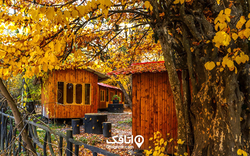 اقامت در جنگل زیبای گلستان