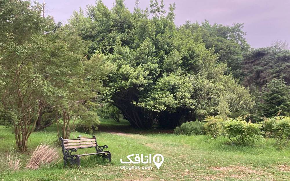 نیمکتی در باغ گیاه شناسی نوشهر، از جاهای دیدنی شمال