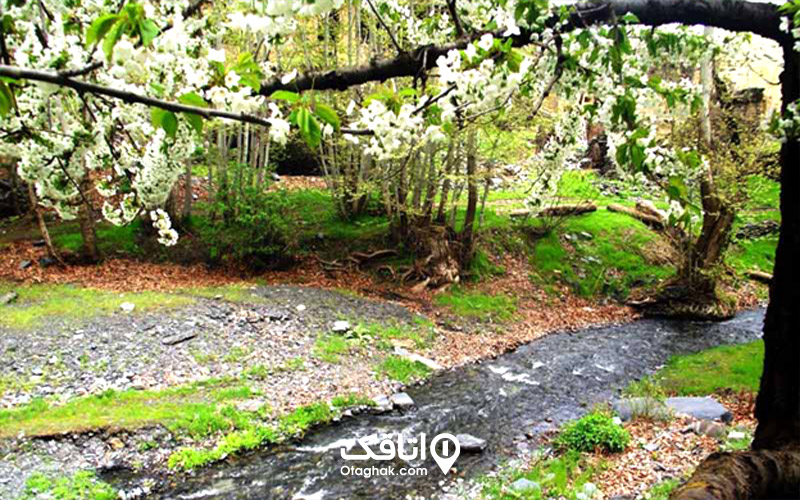بهترین زمان سفر به جنگل جیغ مشهد