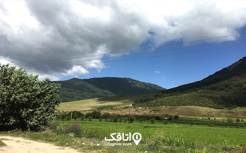 جاذبهها و امکانات جنگل گلستان