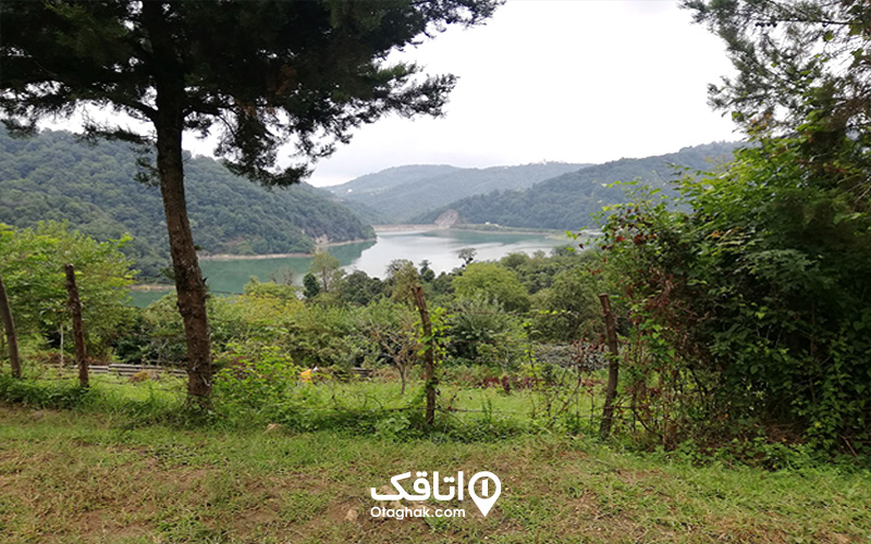 جنگل دالخانی