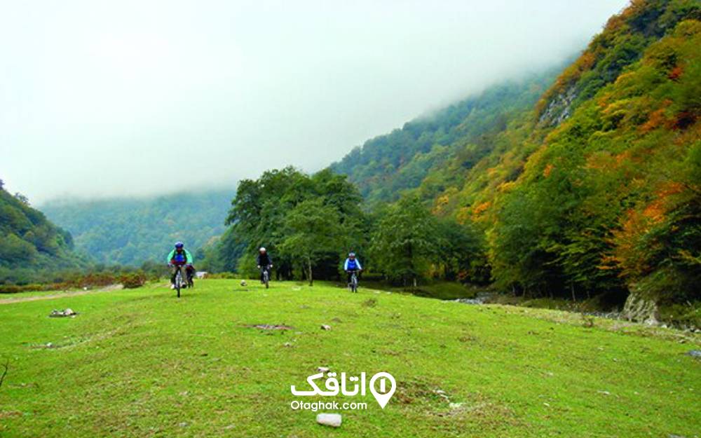 مردم درحال دوچرخه‌سواری در جنگل واز چمستان