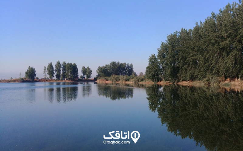 حیاتوحش میانکاله