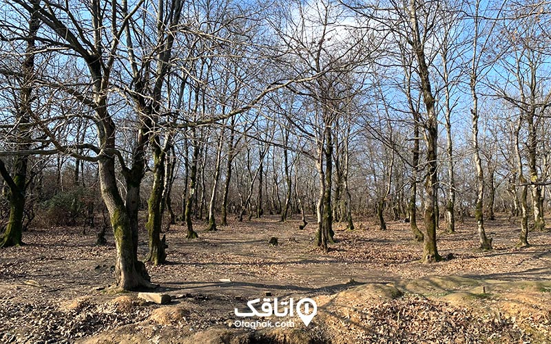 دریاچه سقالکسار در پاییز