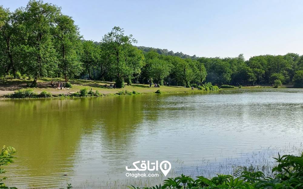 تصویری از نمای دریاچه عروس و جنگل‌های سبز اطراف
