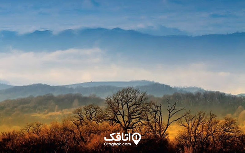 ذخیرهگاه زیستکره چیست
