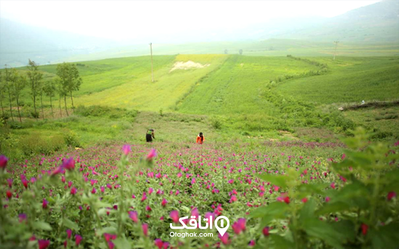 روستای جنت رودبار کجاست