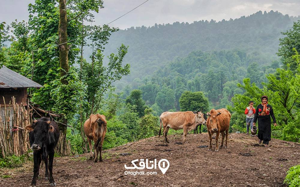 مردم محلی روستای سراش