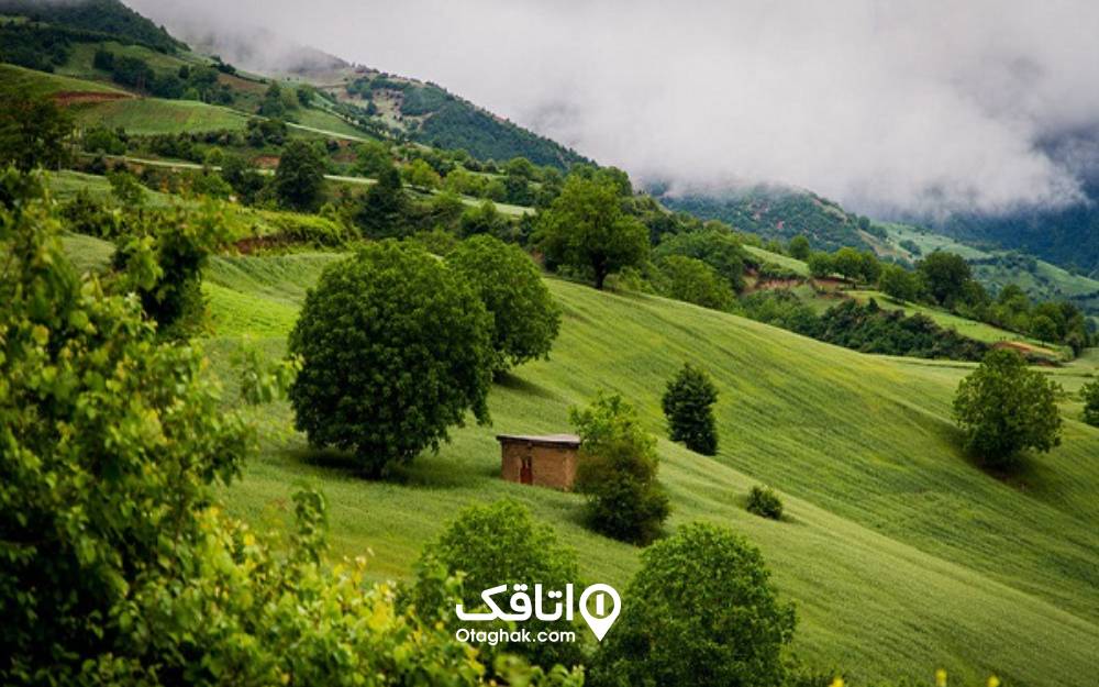 طبیعت بکر روستای فوشه فومن