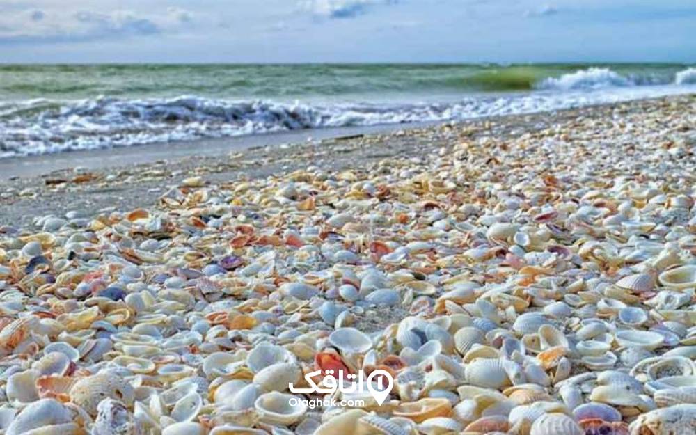 صدفهای رنگارنگ ساحل صدف آستارا