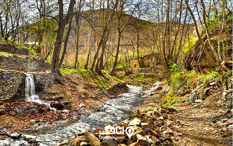 فعالیتهایی که میتوان در جنگل جیغ انجام داد