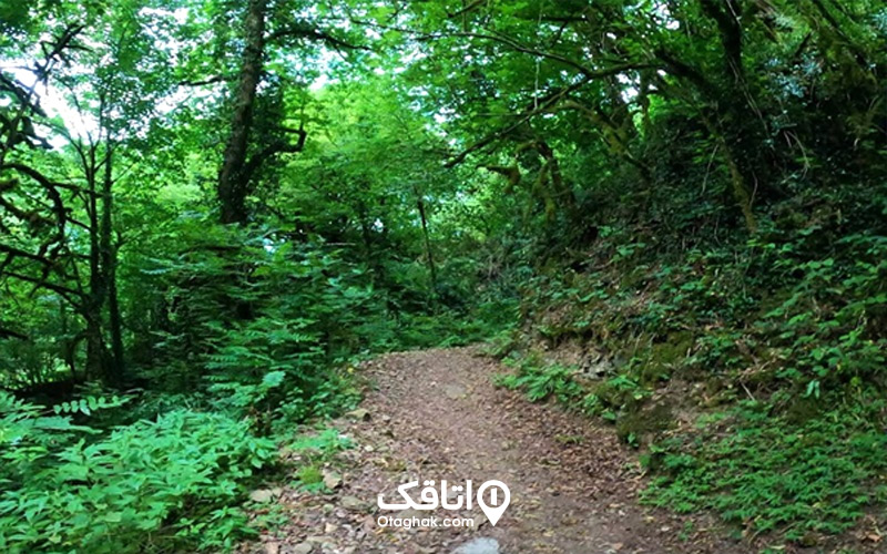 مسیر دسترسی به آبشار ویسادار