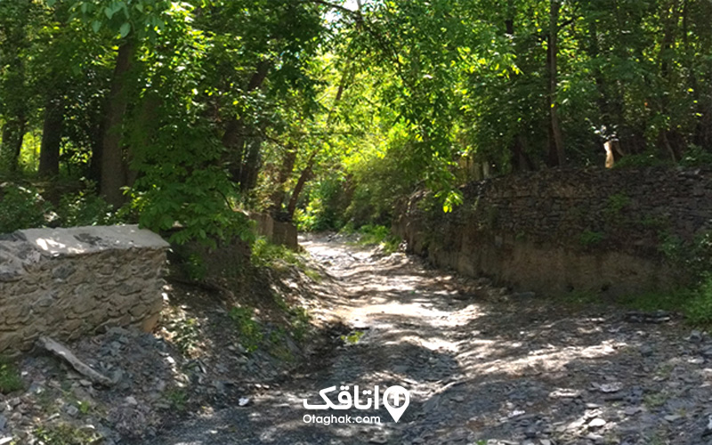 مسیر دسترسی به جنگل جیغ مشهد