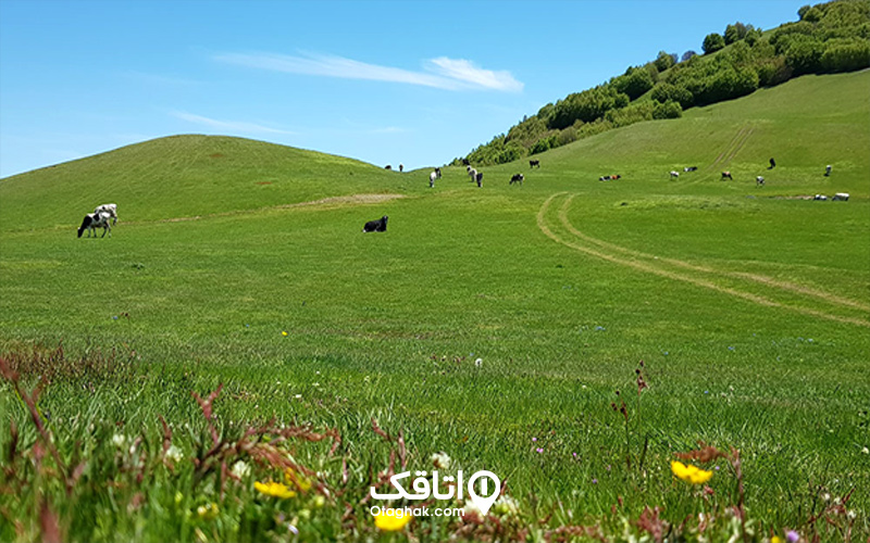 مسیر دسترسی به دریاچه سوها