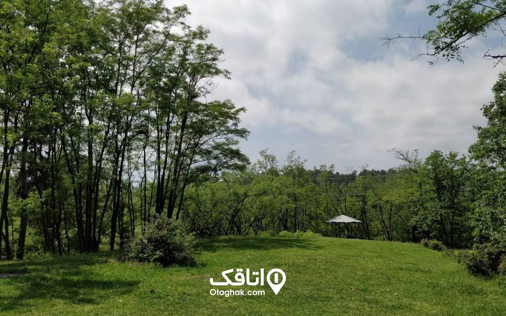 آلاچیق در پارک جنگلی سرسبز سراوان