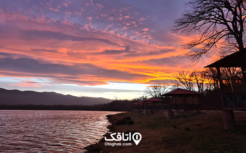 پیادهروی