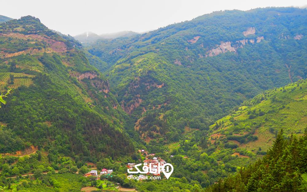 جنگلهای سرسبز ییلاق اشکورات