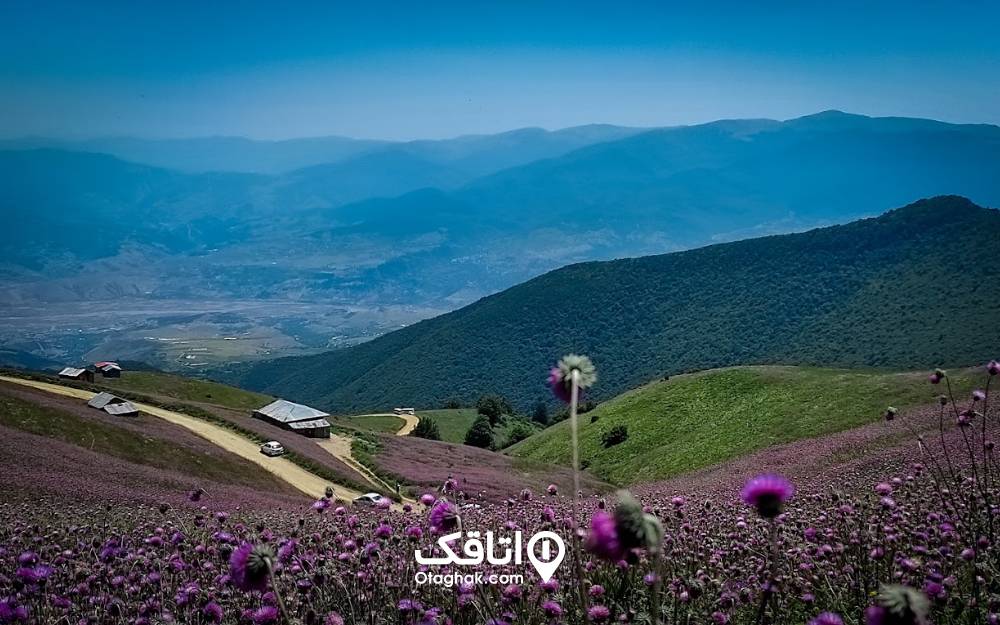 دشتهای پرگل ییلاق سلانسر
