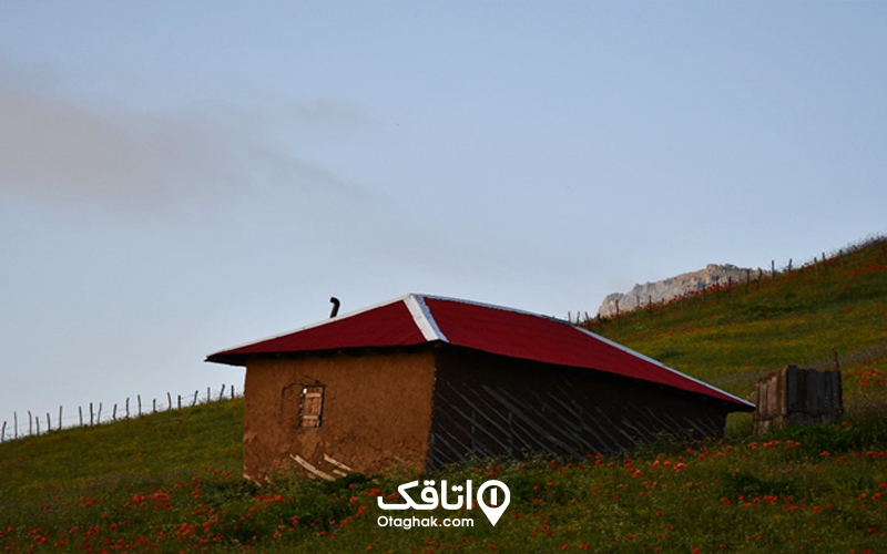 ییلاق سوباتان