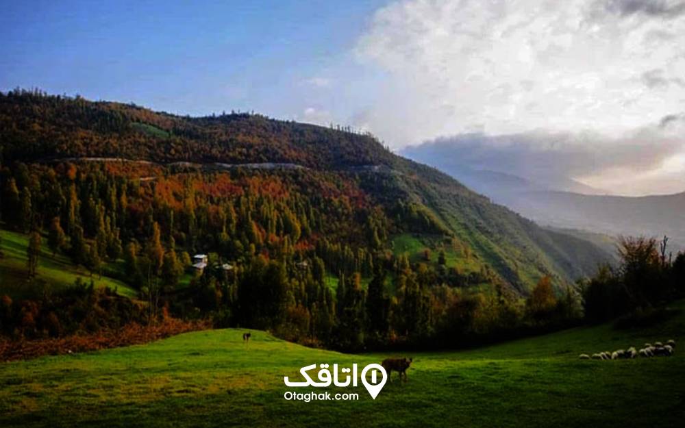 طبیعت بکر و اسبهای ییلاق سی دشت