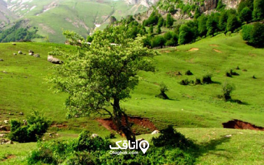 طبیعت سرسبز ییلاق کوربار