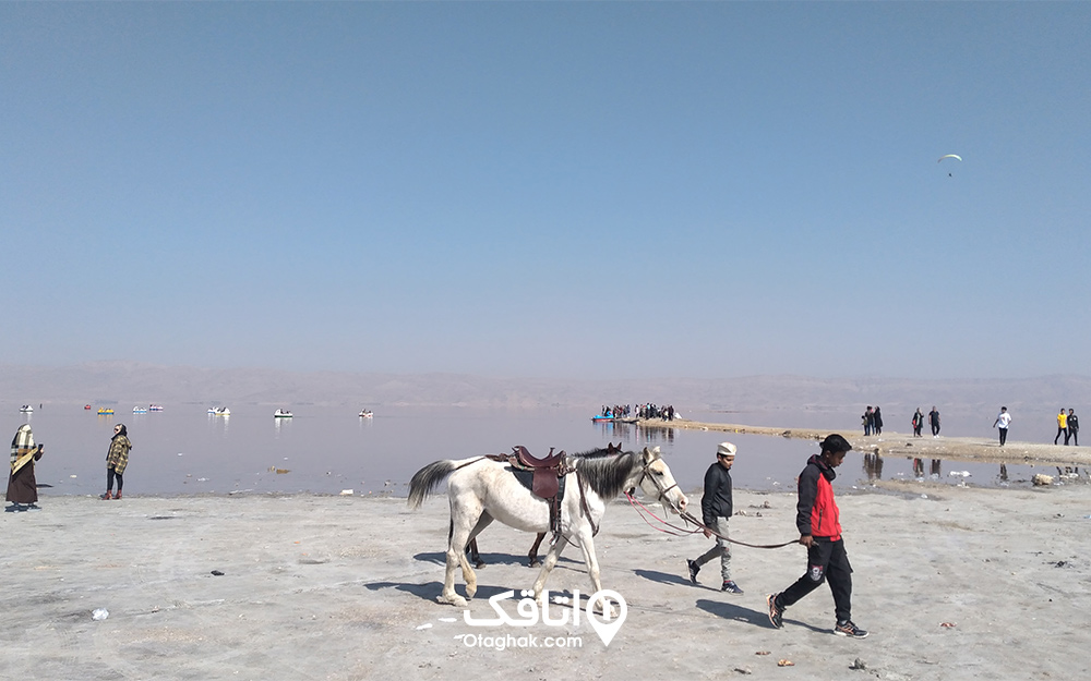 اهالی روستای مهارلو که اسب‌های خود را کرایه می‌دهند