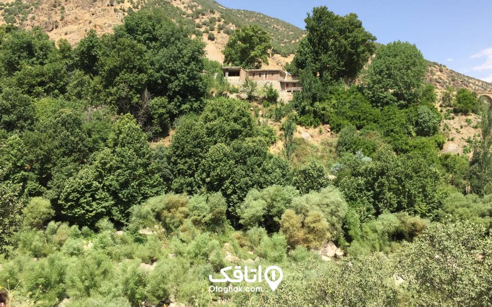 نمایی زیبا از روستای بیشه 