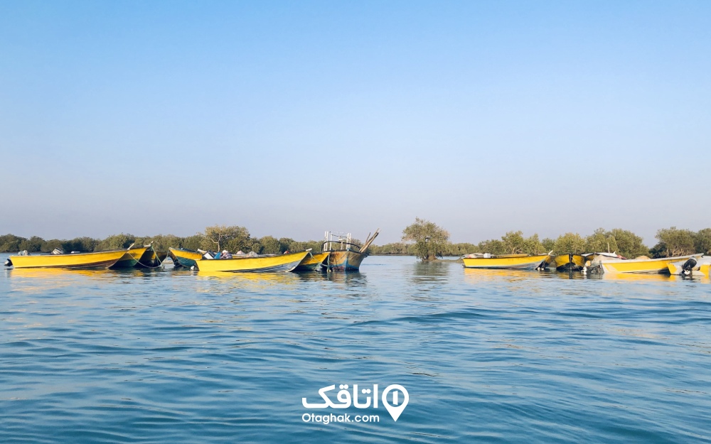 قایق هایی زیبا در جنگل حرا قشم