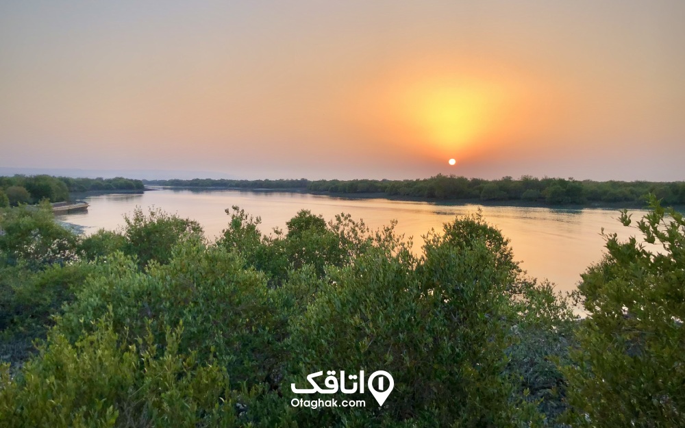 غروب خورشید بر پهنه خلیج فارس و جنگل حرا قشم