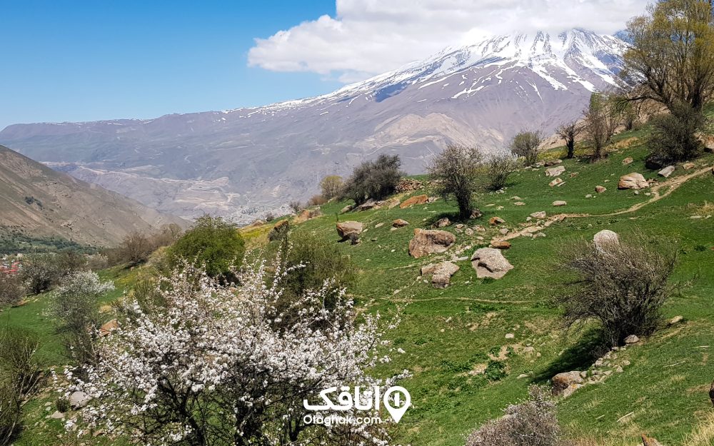 دشت آزو با پس زمینه‌ای زیبا از قله دماوند