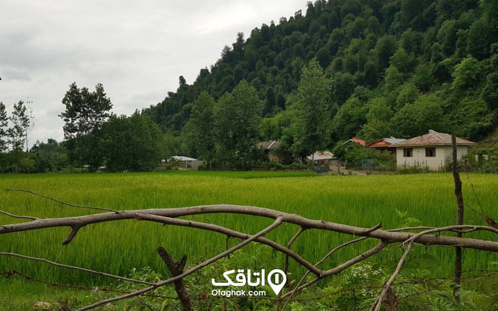 نمایی از روستای شاندرمن در روز