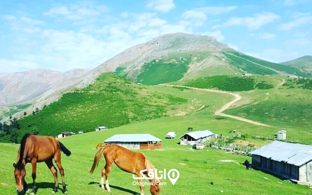 نمایی از ییلاق النزه در روز با 2 اسب