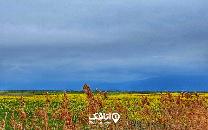 آبوهوای تالاب میانکاله