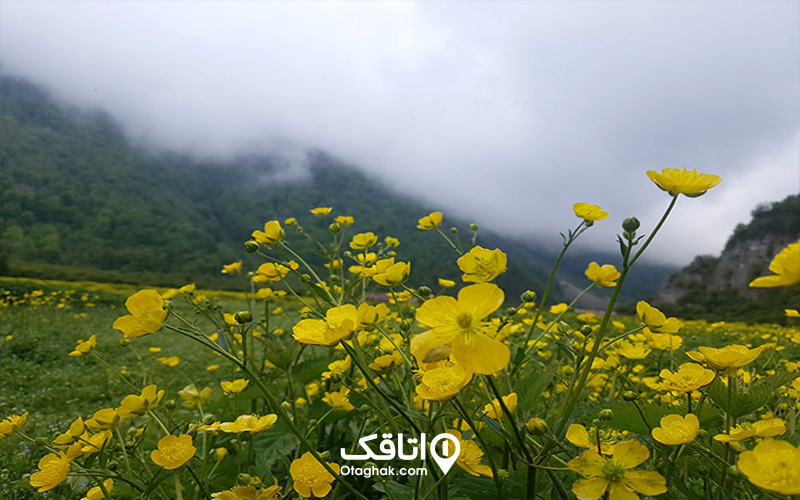 آبوهوای دشت دریاسر