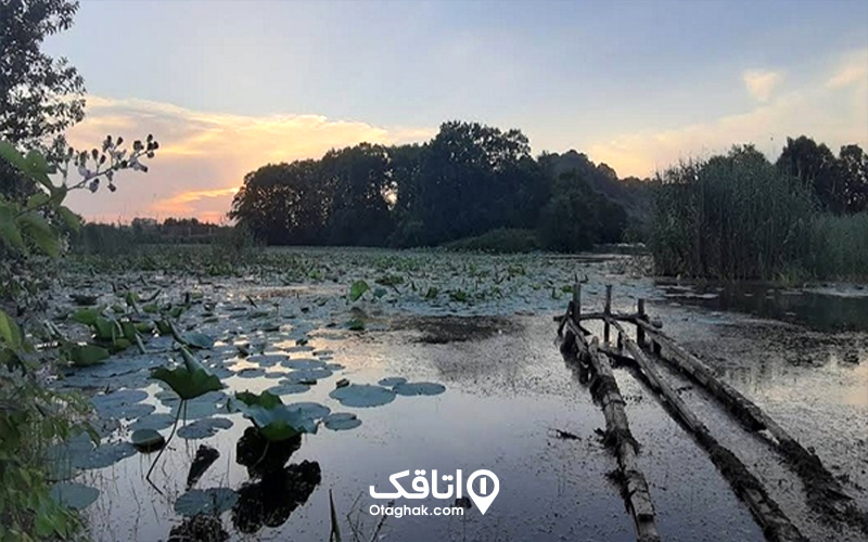 اقامت در تالاب سوستان