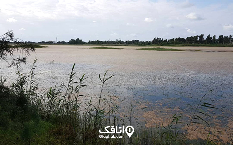 تالاب لپوی زاغمرز
