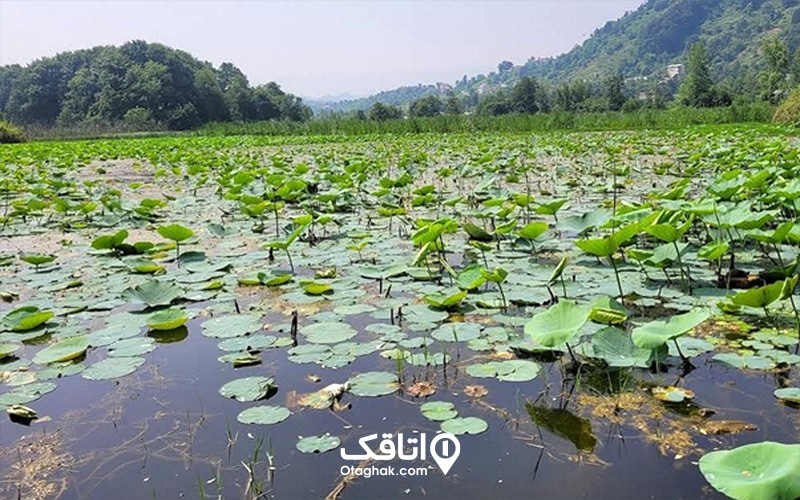 جاهای دیدنی نزدیک به تالاب سوستان