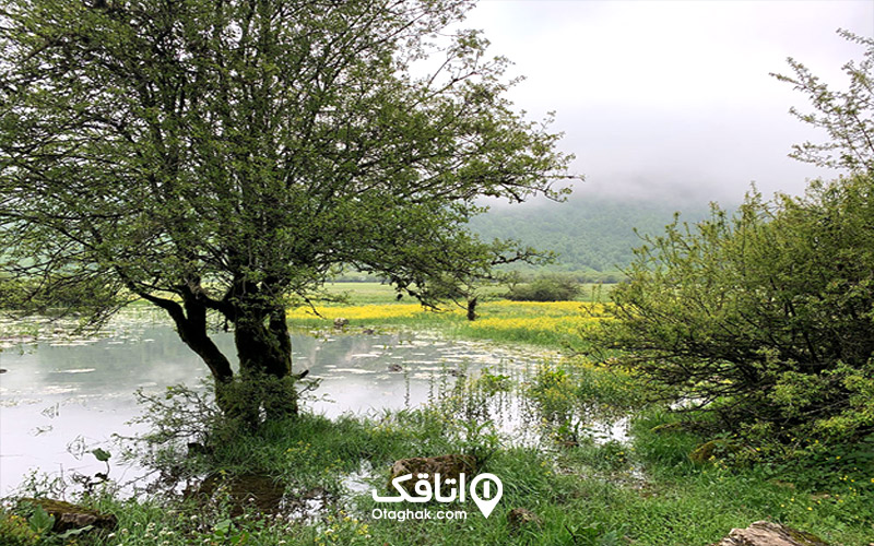 دشت دریاسر کجاست