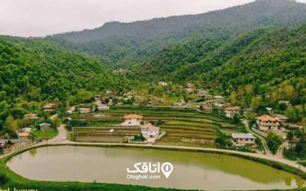 کوهستانهای جنگلی و شالیزارهای روستای طاسکوه