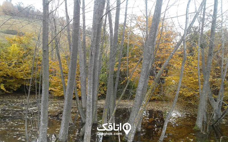 روستای گالش محله