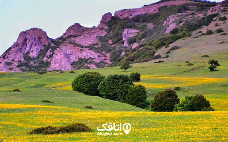 طبیعت ییلاقی و سرسبز داماش