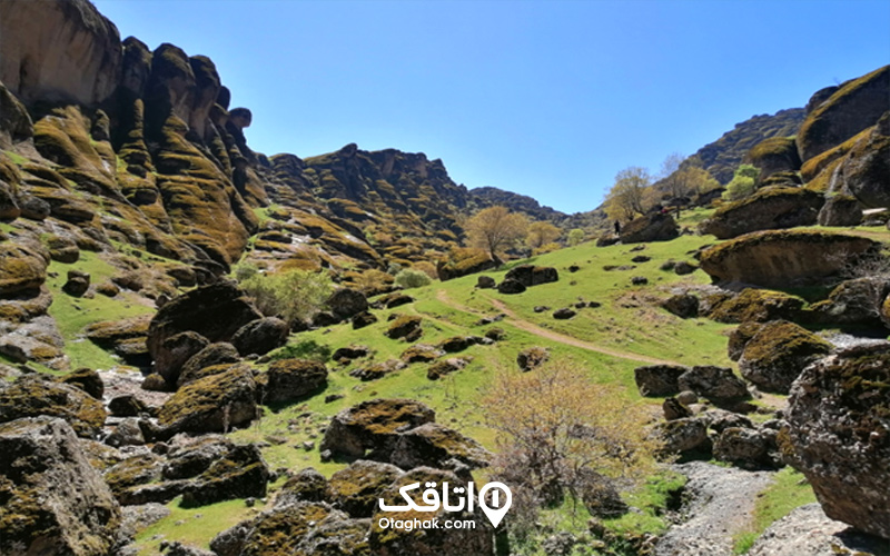 مخمل کوه