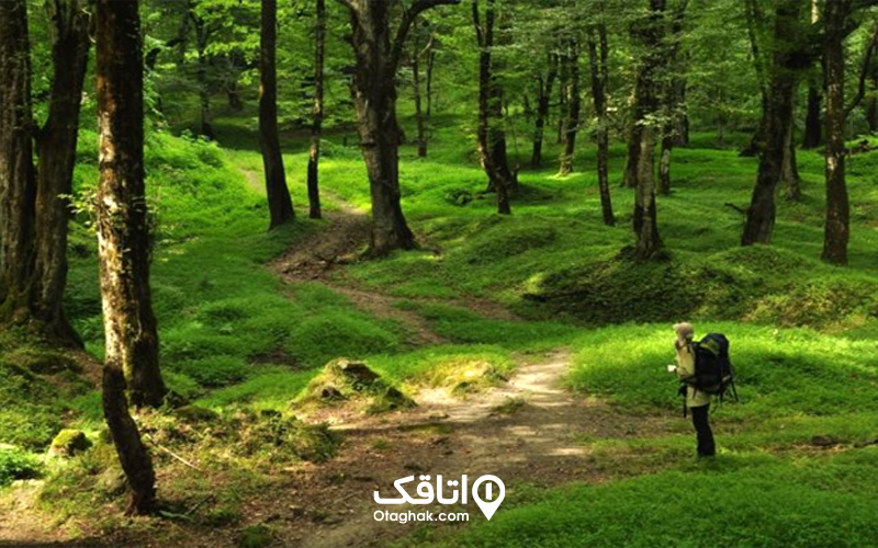 مسیر دسترسی به آبشار ویوز