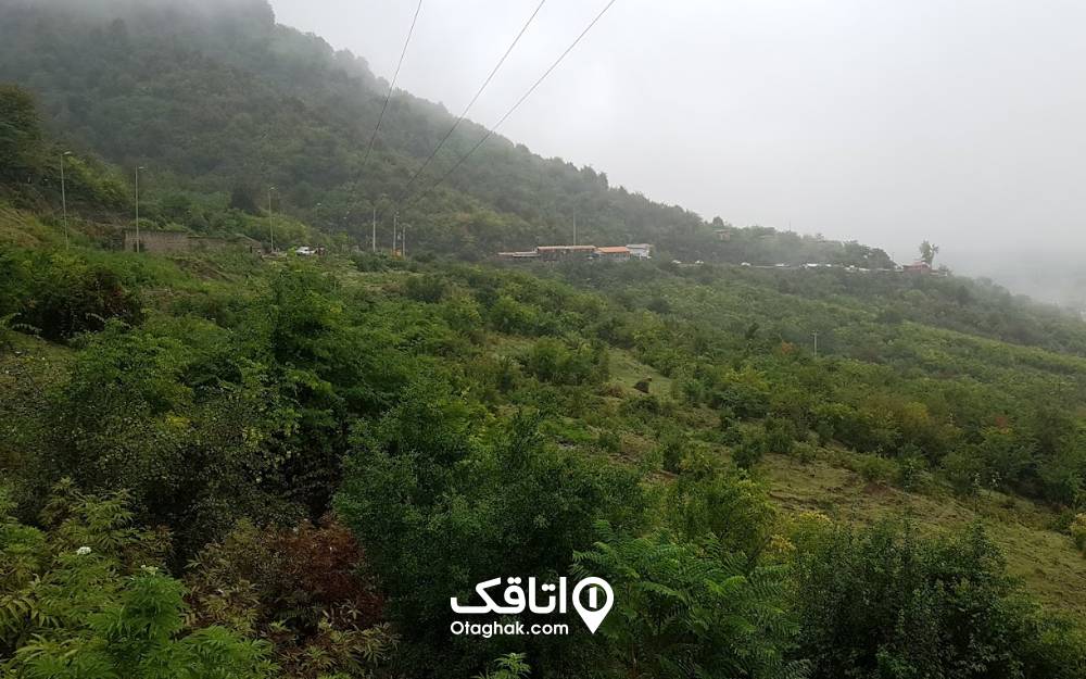 جنگلهای انبوه و سرسبز بام ماسال