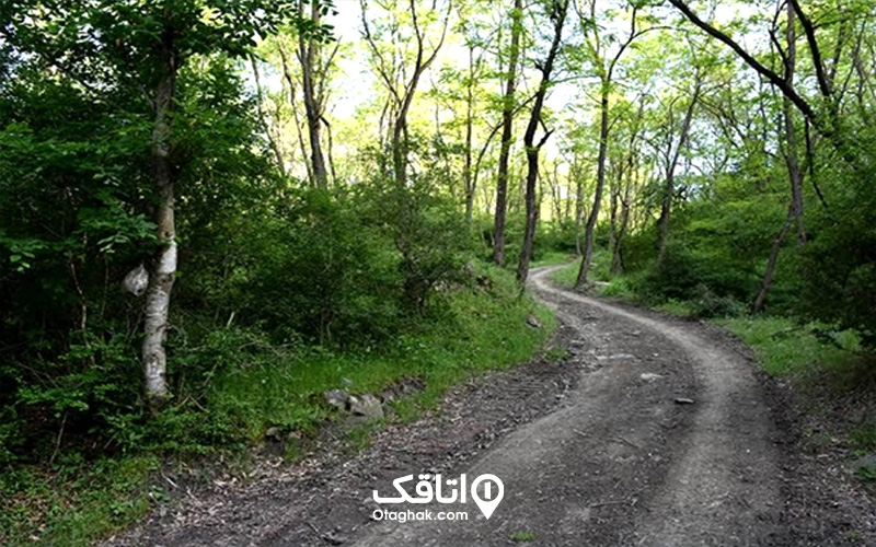 مسیر دسترسی به غار اسپهبد خورشید سوادکوه