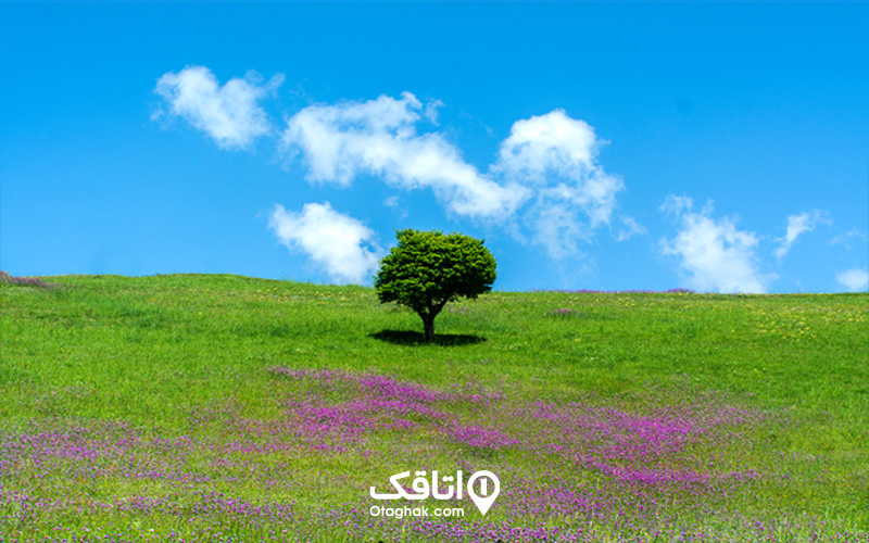 نکاتی که لازم است قبل از سفر به داماش بدانید