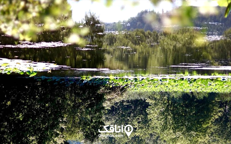 نکات مهم سفر به تالاب سوستان
