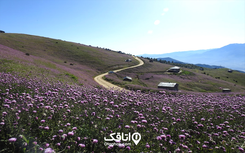 نکته مهم درباره ییلاق سلانسر