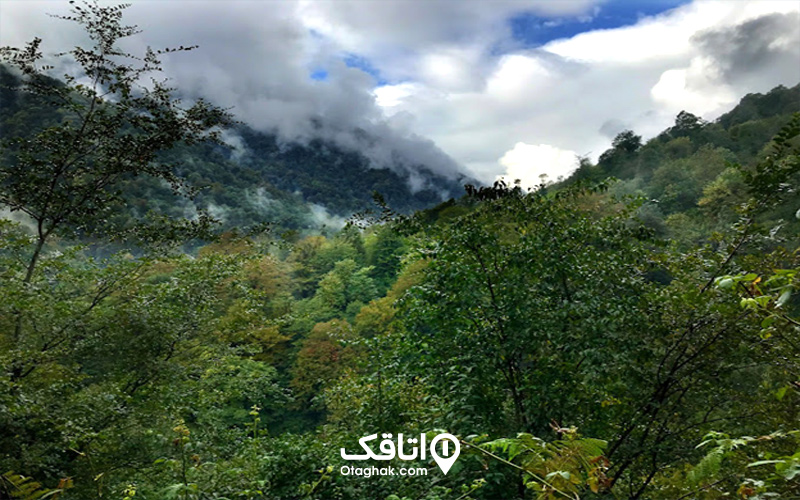 پوشش گیاهی و جانوری آبشار دودوزن