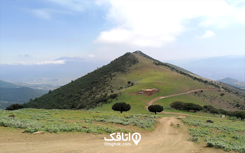 پوشش گیاهی و جانوری ییلاق سلانسر